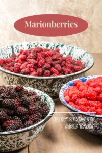 Lose Weight Naturally: 10 Home Remedies That Really Work Nutrition with Kathrine