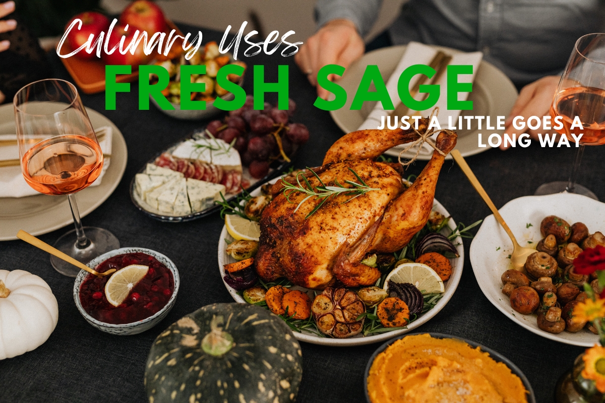 A table of people enjoying a meal, with a focus on fresh sage and its culinary uses displayed nearby.